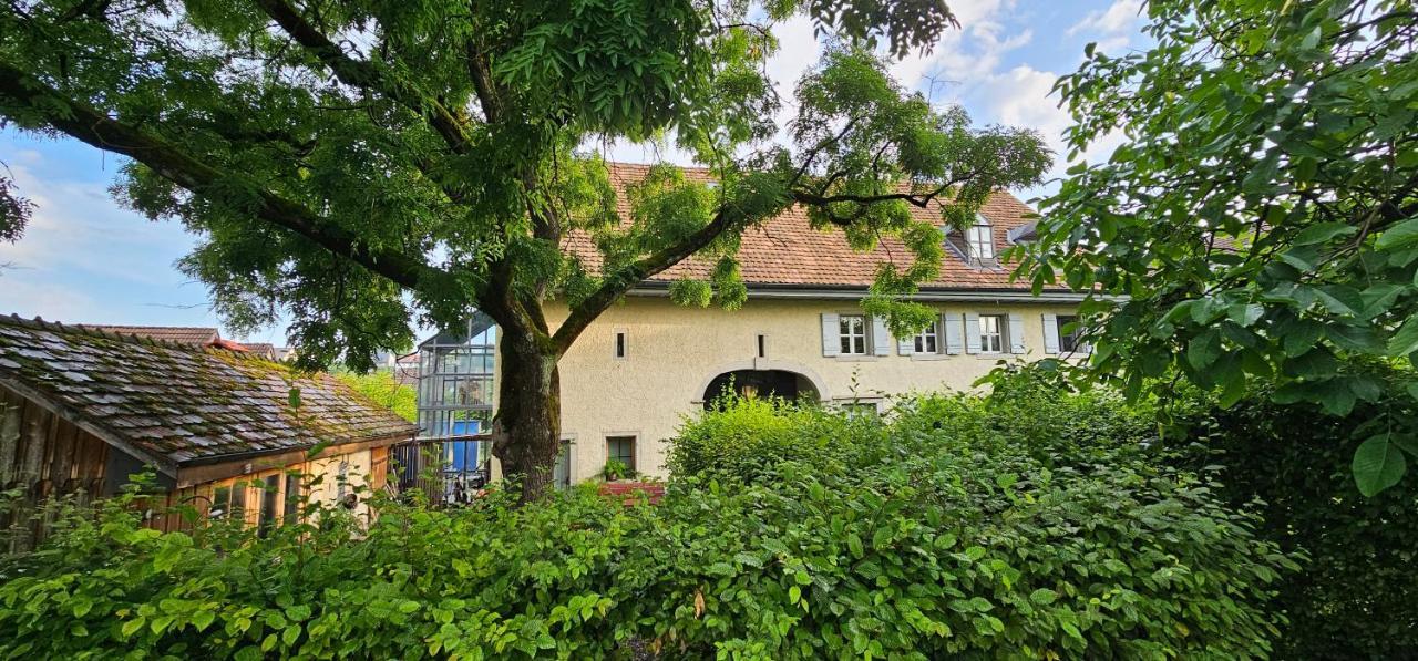 Blue Wall Bnb Gebenstorf Bagian luar foto